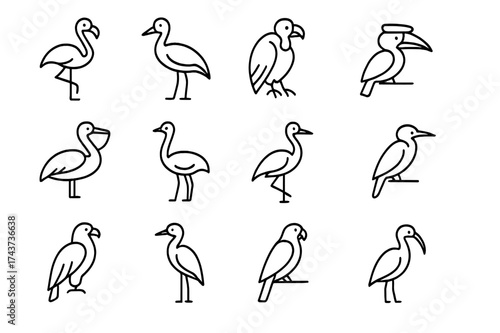 Bird Icon Collection. Birds of the reserve. Line icon set of Birds of the reserve: flamingo, stork, vulture, hornbill, pelican, ostrich, crane, kingfisher,