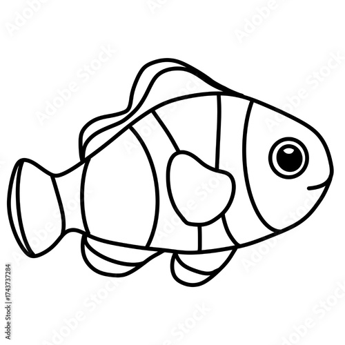 Clownfish