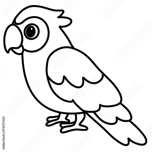 Pattor