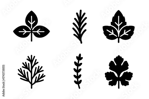 Culinary Herb Icons. Culinary herbs. Filled icon set of Culinary herbs: basil leaf, parsley leaf, rosemary