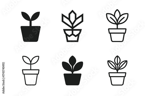 Plant Expansion Logos. Plant expansion plan. Set Logo of Plant Expansion: potted plant. harmonious logo variations of the same emblematic concept, each with