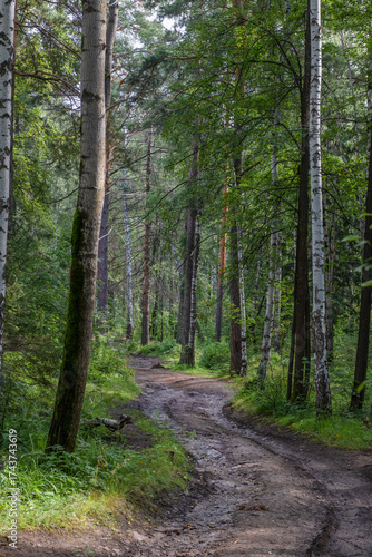 Country road-track on a sunny day in the Azov-mountain nature park