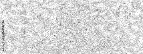 Monochrome topographic contour map abstract lines pattern perfect for backgrounds