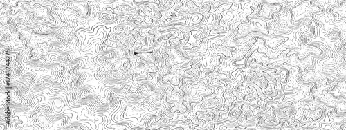Topographic map lines abstract contour background great for geographic designs