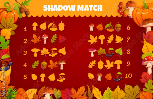 Shadow match game with autumn fall leaves, acorns, season berries and mushrooms, vector educational worksheet. Kids game quiz or puzzle to match shadow of autumn leaves and mushrooms or berries