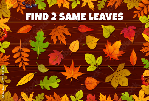 Find two same autumn fall season yellow, orange and red leaves, vector game worksheet. Kids game puzzle quiz to find two leaves of maple or oak tree, ash and elm with birch or rowan leaf