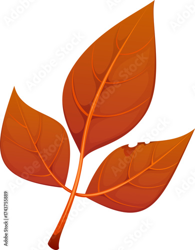 Cartoon autumn fall season leaf. Isolated vector bright orange natural fallen tree foliage with warm seasonal tones, veins and natural texture. Autumnal forest plant, symbol of fall, change and nature
