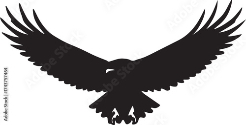 Eagle  vector shilhouette single collection
