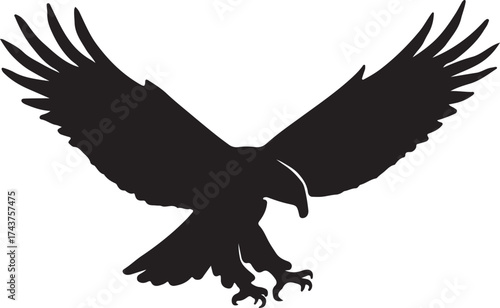 Eagle  vector shilhouette single collection
