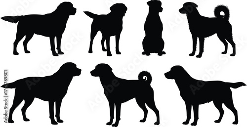 Silhouette of dogs standing and sitting, pet animal vector, domestic canine illustration, black dog shapes, puppy outline, pet care, animal graphic