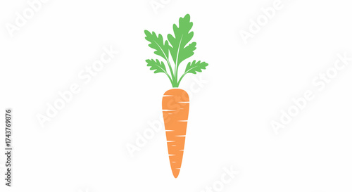 Isolated Carrot Illustration with Green Leaves on White Background.