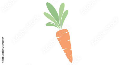Freshly picked orange carrot with green leaves, a healthy and vibrant vegetable.