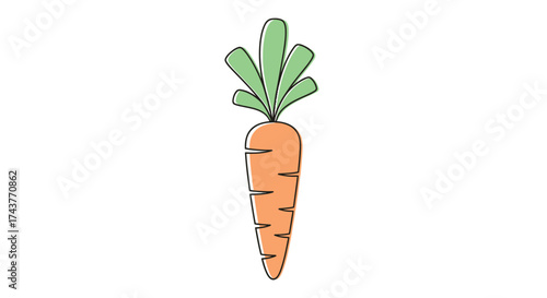 Orange carrot with green leaves, a fresh and healthy vegetable, isolated on white background.