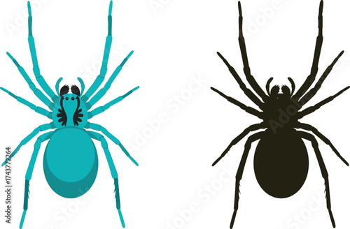 Isolated blue spider illustration arachnid insect pest design vector