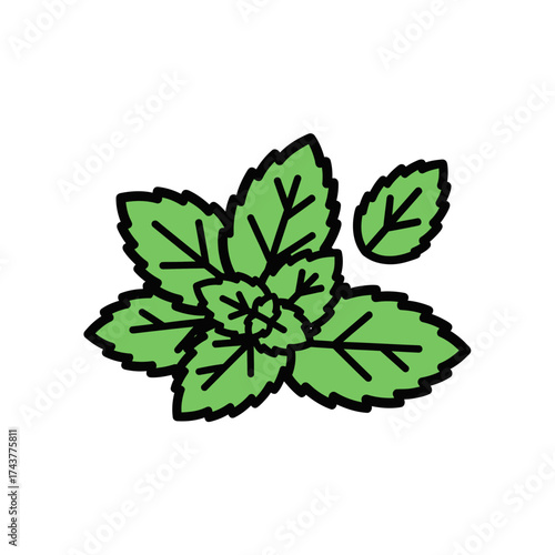 Cartoon Illustration of Aromatic Mint Herb Leaves.