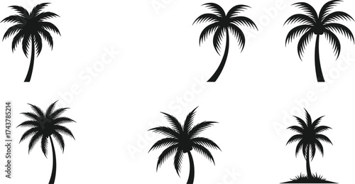 Silhouette palm tree, tropical beach vector, black illustration, exotic island, summer vacation, paradise art, coastal design, travel, botanical nature, holiday