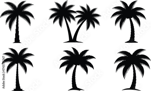 Silhouette palm tree, tropical island design, black vector illustration, exotic beach, summer vacation, paradise art, coastal nature, travel, botanical shape, holiday