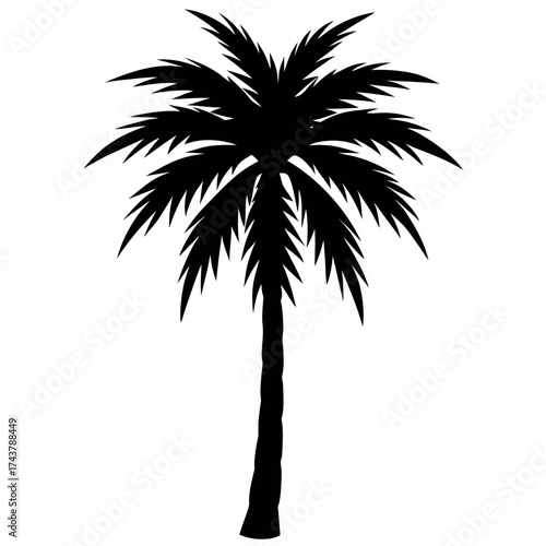 Sugar Palm Silhouette Vector on White Background