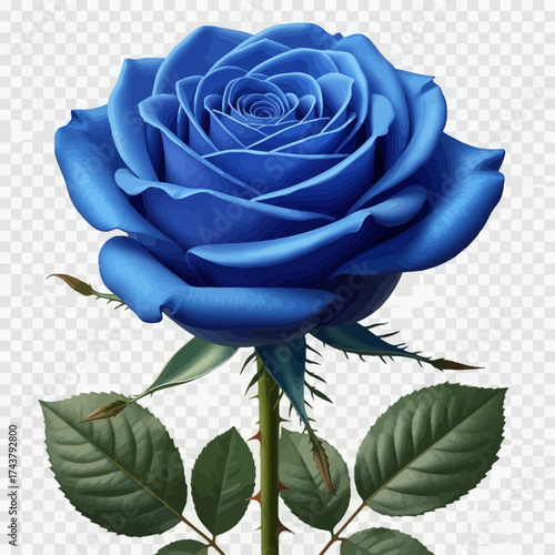 Backpack Illustration – Detailed Black and White Vector Drawing of Travel and School Bag with Front Pocket and Straps