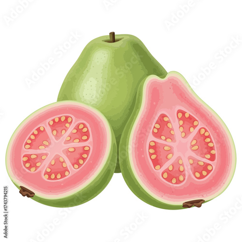 Open Holy Book on Rehal Stand | Quran Reading Symbol | Islamic Religious Vector Icon