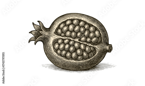 Detailed vintage pomegranate engraving depicting halved fruit with seeds
