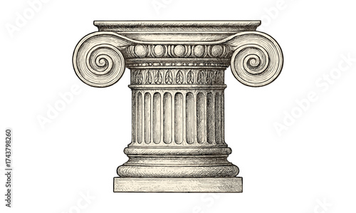 Detailed ancient greek ionic column capital illustration in engraved style