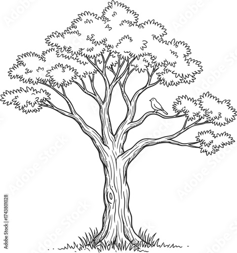 Detailed tree with dense foliage and a bird on a branch, standing on a patch of grass. Nature and ecology concept. Black and white vector illustration