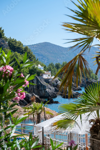 Albania Beachclub Flowers