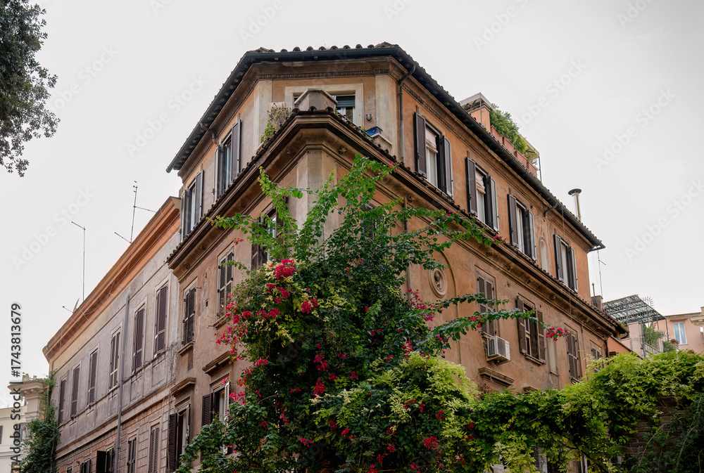 Fototapeta premium Historic building with green plants and blooming flowers on facade in Rome