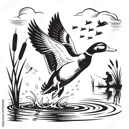 A detailed black and white illustration of a mallard duck taking flight from a marshy pond with cattails and a distant hunter silhouette