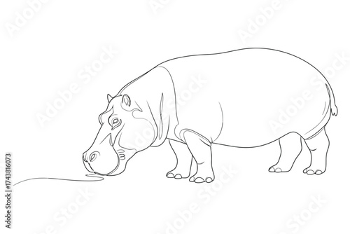 Vector art of hippopotamus line art drawing, a simple outline of a hippo drinking water