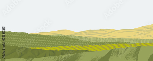 Agriculture field collage background with pattern textures. Abstract farm collage texture and eco design for a sustainable landscape background or banner. Asian countryside view.