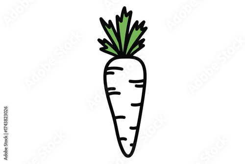 Vector art of hand drawn carrot, a healthy and nutritious root vegetable for cooking and eating