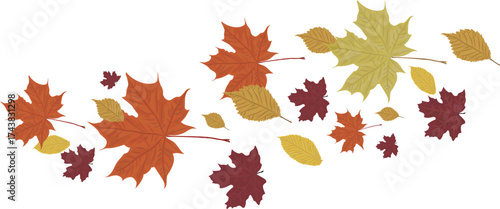 Colorful autumn maple leaves. Falling leaves. Season plant design element.