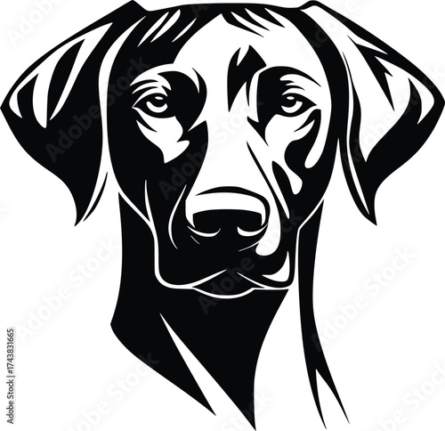 Pointer head silhouette with upright ears, sleek muzzle, and focused gaze in black vector