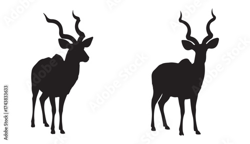 Kudu Silhouette, African Kudu Silhouette Vector