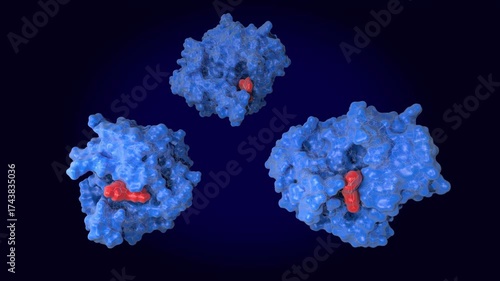 Haddock model of  the enzyme New Delhi Metallo-beta-Lactamase-1  (NDM-1,  blue) in complex with a flavonol inhibitor .