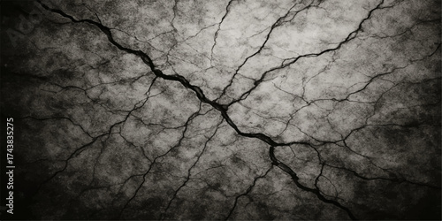 The old wood texture and cracked bark of a tree rest on the dry brown earth, mirroring the arid pattern of the drought-baked clay soil