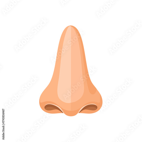 Human Nose Illustration Vector Graphic Body Part Anatomy Icon Design