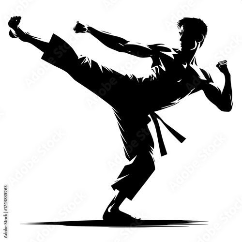 Black and White Vector Silhouette of a Man Kicking Martial Arts Style