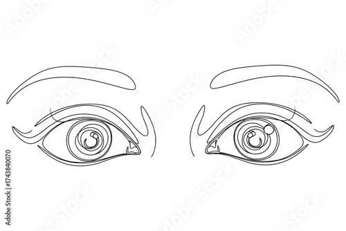 Vector art of closeup of a pair of eyes with detailed irises, eyebrows, and eyelashes