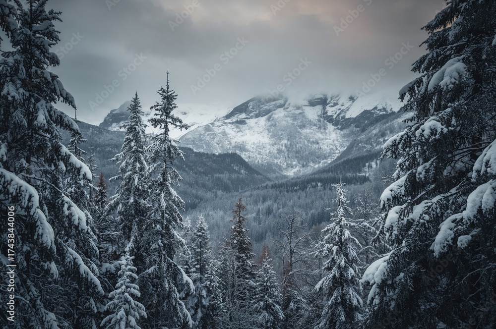 Fototapeta premium Gloomy snowy scenery with fir trees blanketed in thick snow surrounded by icy peaks.