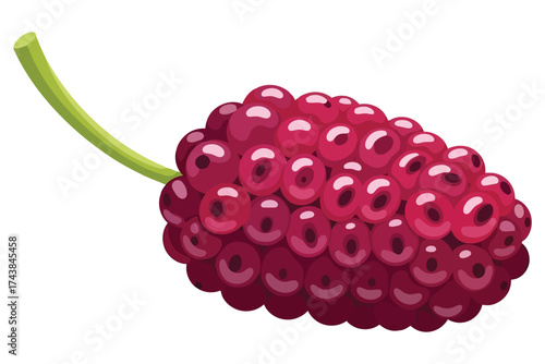 Vector art of closeup of a vibrant mulberry, showcasing its juicy texture and deep red color
