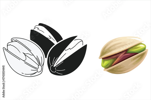Illustration of pistachios in color and black and white, healthy snack concept