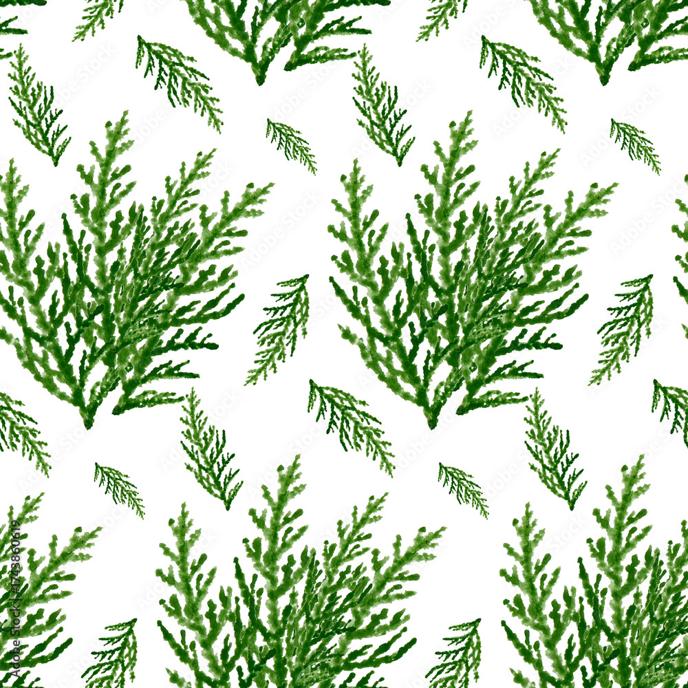 Obraz premium Seamless ornament of thuja branch cypress Christmas winter cold isolated illustration in the background