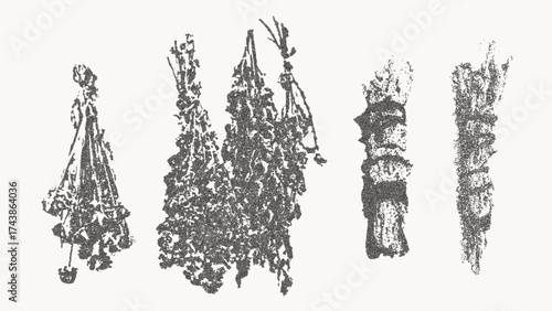 Halloween Herbal Vector Illustration Collection with Trendy Stippling Photocopy Effect. Vintage Botanical Set of Spooky Medicinal Plants and Witch Herbs