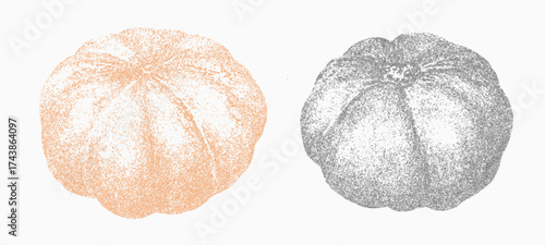 Pumpkins vector illustration. Trendy stippling photocopy effect