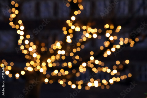baum mit lichterkette