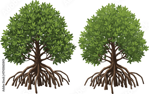Mangrove trees, coastal roots, tropical ecosystem, green foliage, environmental conservation, shoreline protection, saline habitat, nature illustration, biodiversity, wetland 