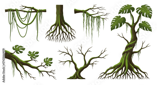 Illustrations of jungle vines and ancient gnarled trees with prominent roots and dangling mossy strands.